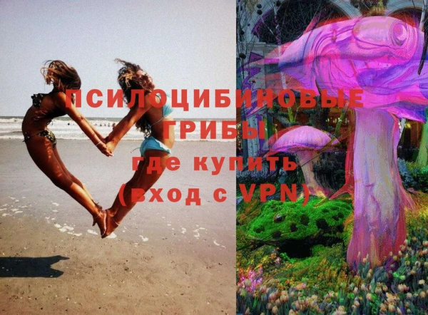 Альфа ПВП Балахна