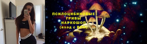 мяу мяу мука Балабаново