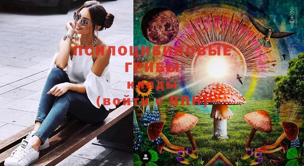 соль курить ск Няндома
