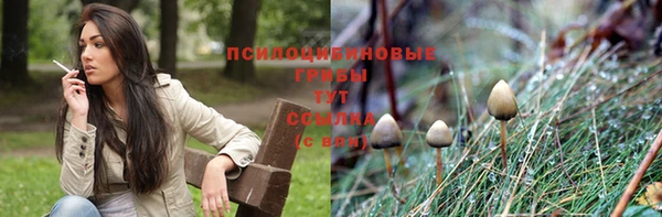 mdpv Нязепетровск